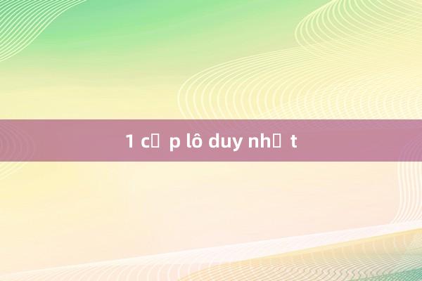 1 cặp lô duy nhất