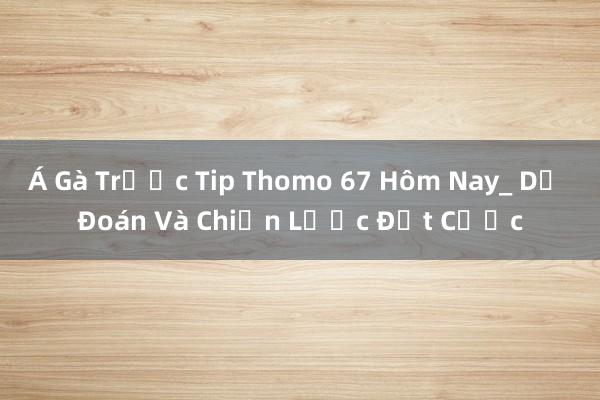 Á Gà Trước Tip Thomo 67 Hôm Nay_ Dự Đoán Và Chiến Lược Đặt Cược