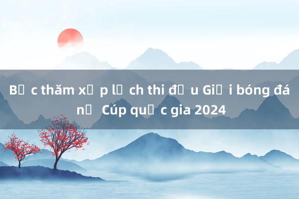 Bốc thăm xếp lịch thi đấu Giải bóng đá nữ Cúp quốc gia 2024