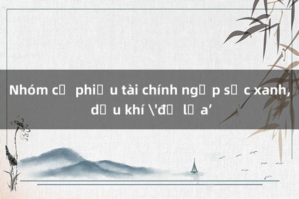 Nhóm cổ phiếu tài chính ngập sắc xanh， dầu khí 'đỏ lửa’