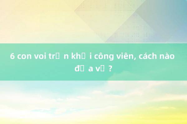 6 con voi trốn khỏi công viên， cách nào đưa về?