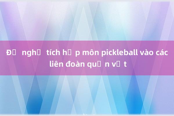 Đề nghị tích hợp môn pickleball vào các liên đoàn quần vợt