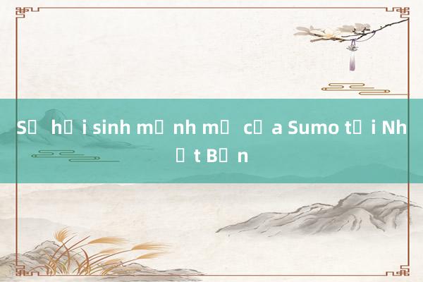 Sự hồi sinh mạnh mẽ của Sumo tại Nhật Bản