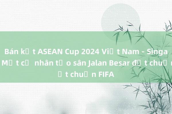 Bán kết ASEAN Cup 2024 Việt Nam - Singapore: Mặt cỏ nhân tạo sân Jalan Besar đạt chuẩn FIFA